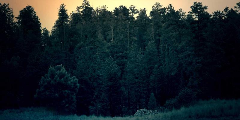 Wi-Fi 7（802.11be）关键技术前瞻：多链路操作如何重塑无线体验与容量