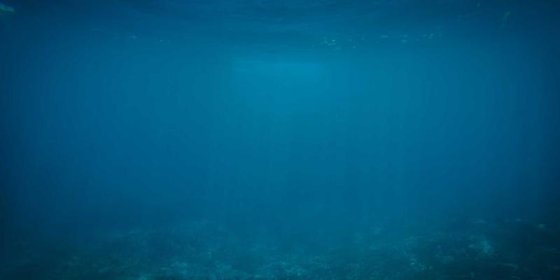 云原生网络服务（CNNS）如何重塑现代应用部署：IT教程与软件工具的革新之路