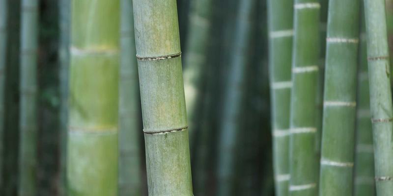 数字文化时代下网络性能监控（NPM）与用户体验管理（EUEM）的融合实践