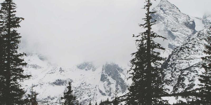 数字文化浪潮下的网络技术技巧：高效资源分享与协作新范式