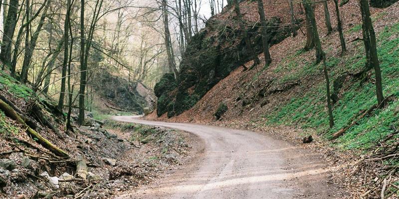 算力网络（CFN）技术体系详解：如何实现网络与算力的全局智能调度与交易