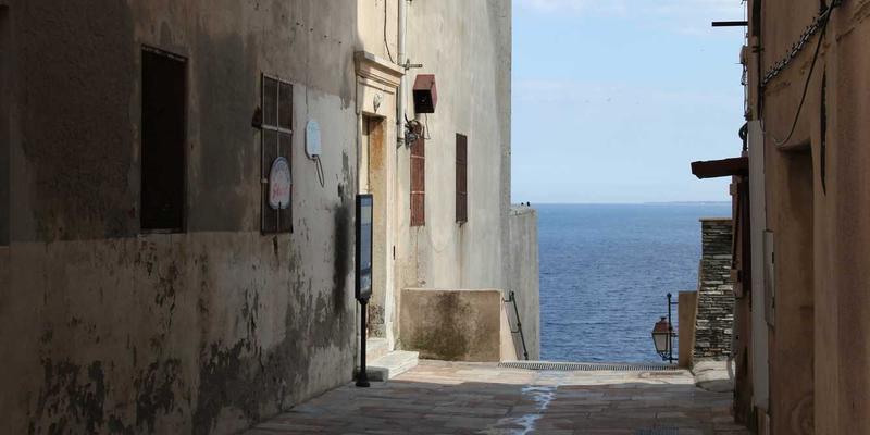 网络技术26：IT教程、数字文化与软件工具的融合新纪元