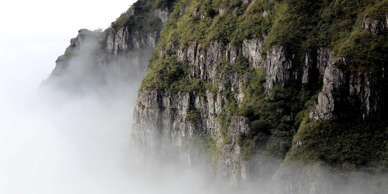 蒸汽波美学与数字文化浪潮：基于eBPF的云原生网络性能监控与安全策略实施新范式