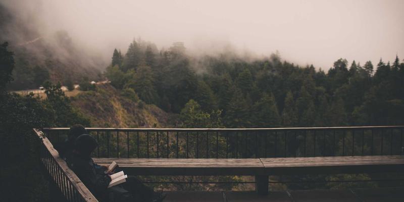 软件工具、数字文化与PDS YT：解码当代网络技术的三重维度